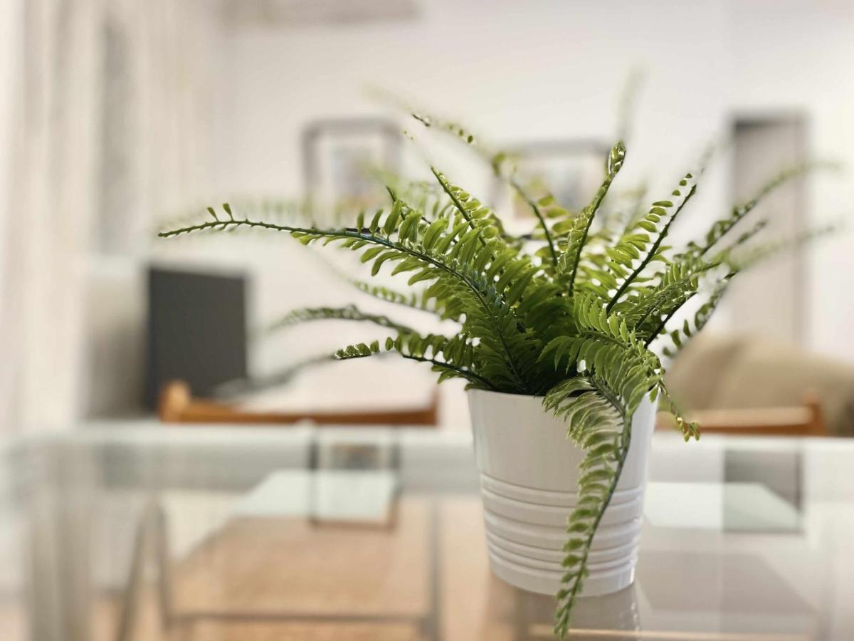 Apartamento En El Centro De Malaga En El Soho Exteriör bild
